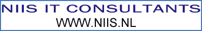 NIIS IT Consultants